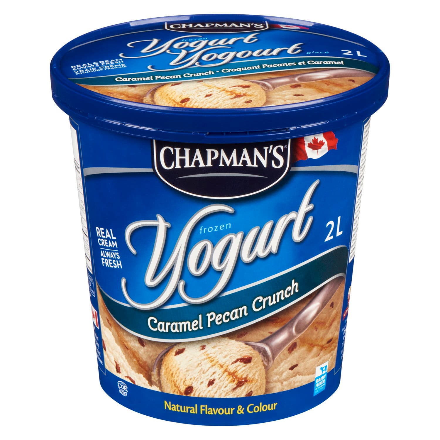 chapman's