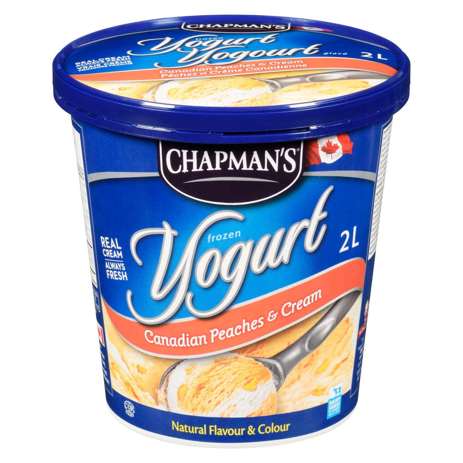 chapman's