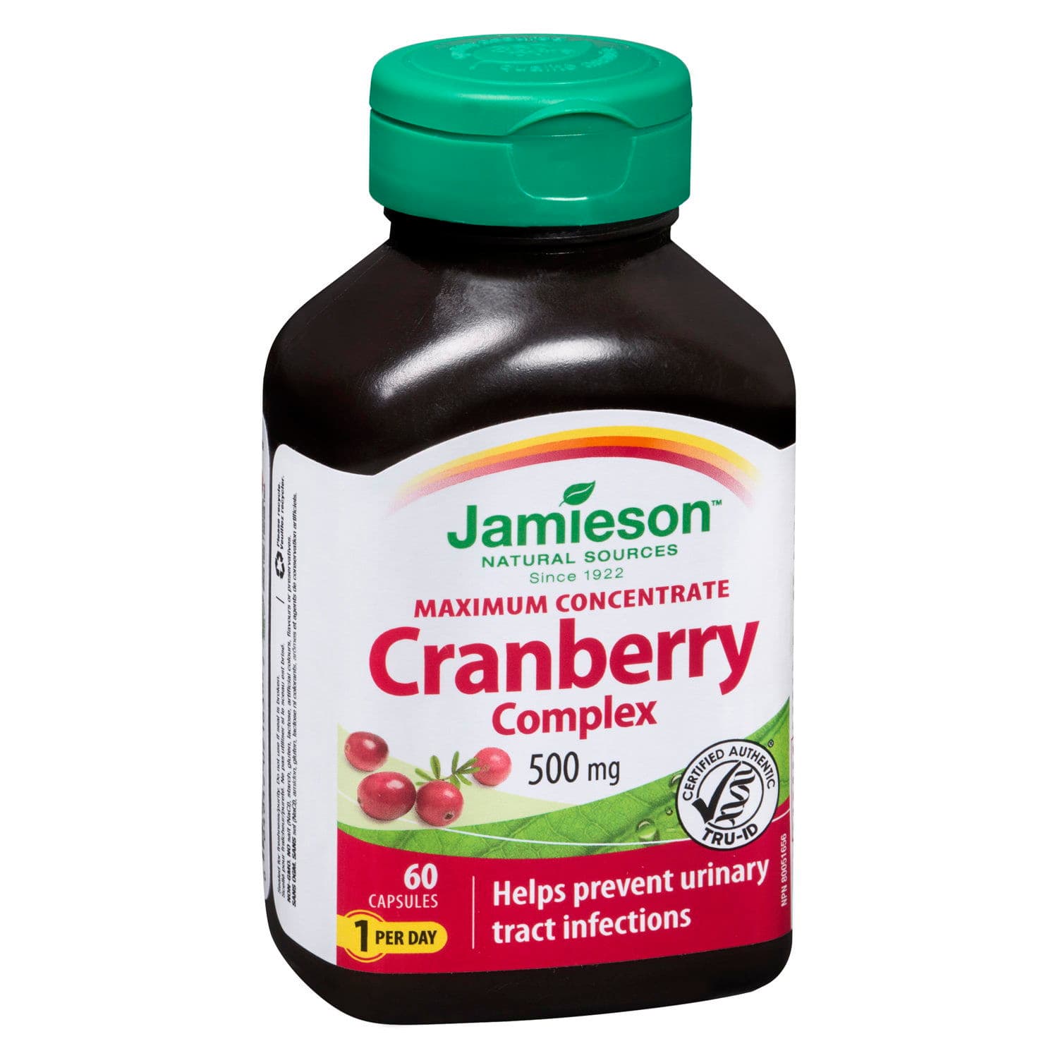jamieson