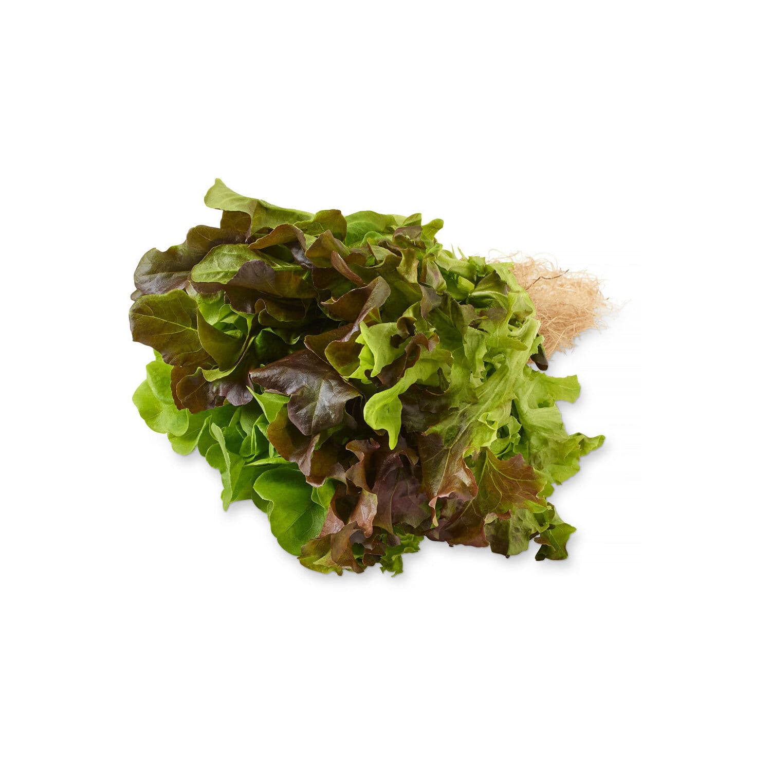 inspired greens